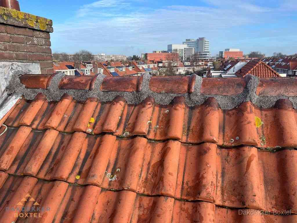 Boxtel Daken Renoveren Boxtel Daken Renoveren